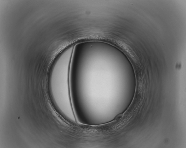 X0000090920677200707301054