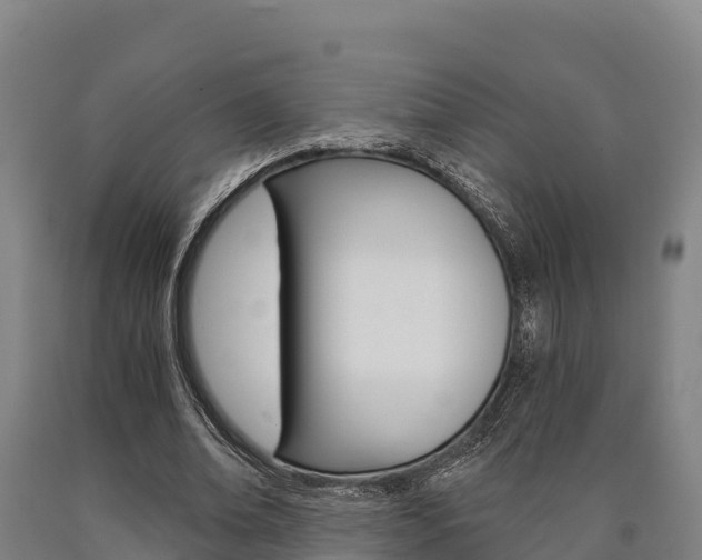 X0000090920678200707301054