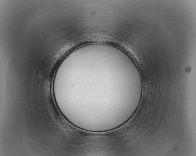 X0000090920679200707301054