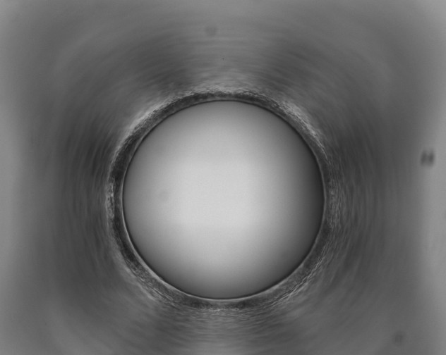 X0000090920680200707301054