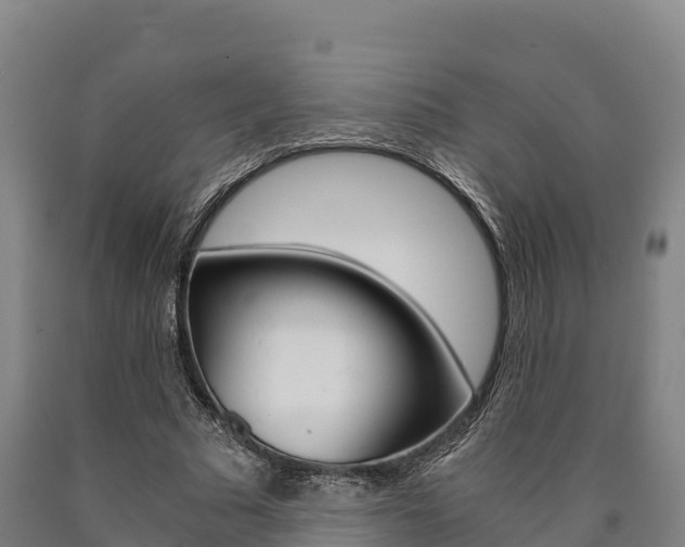 X0000090920681200707301054