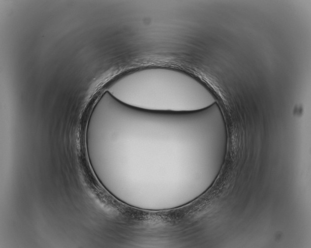 X0000090920682200707301054