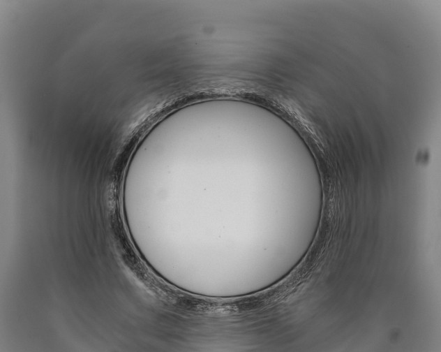 X0000090920683200707301054