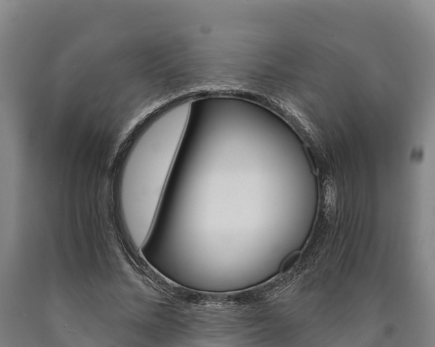 X0000090920684200707301054