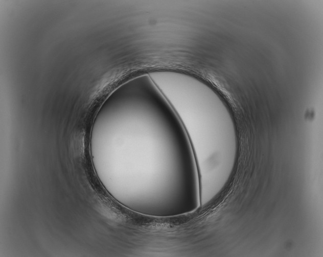 X0000090920685200707301054