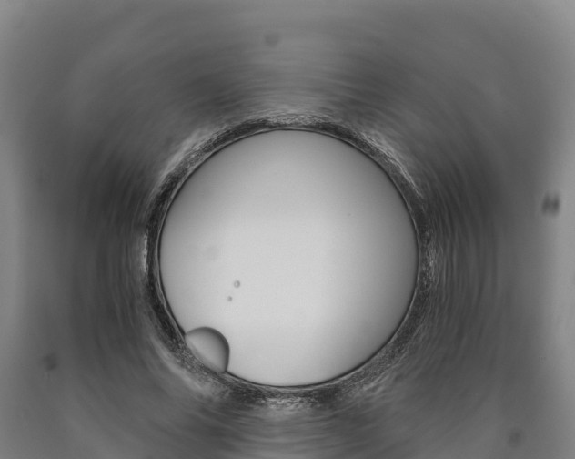 X0000090920686200707301054