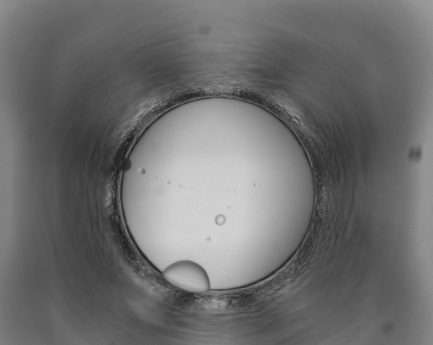 X0000090920687200707301054