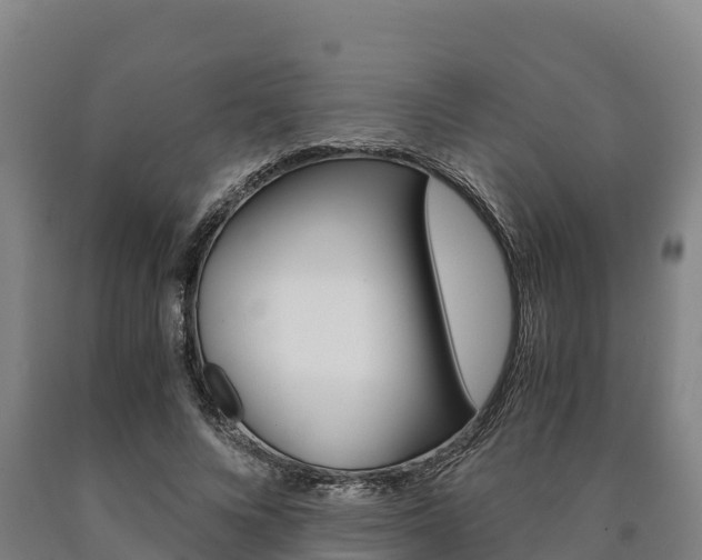 X0000090920688200707301054