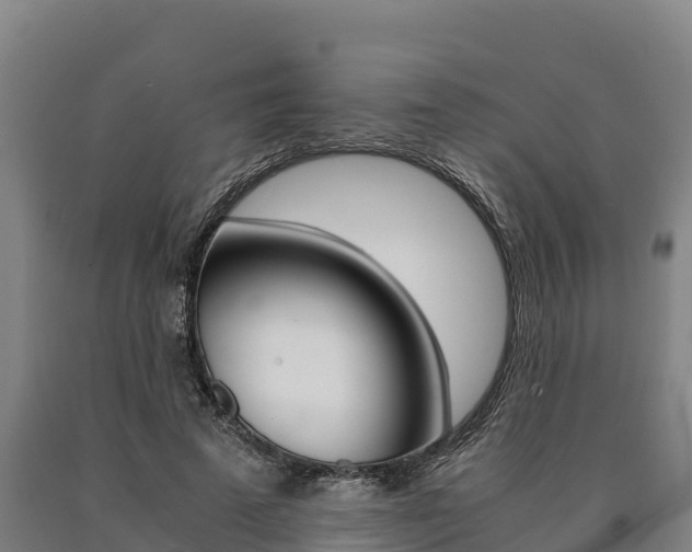 X0000090920689200707301054