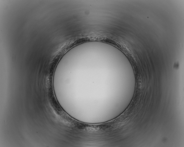 X0000090920690200707301054