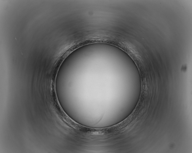 X0000090920692200707301054