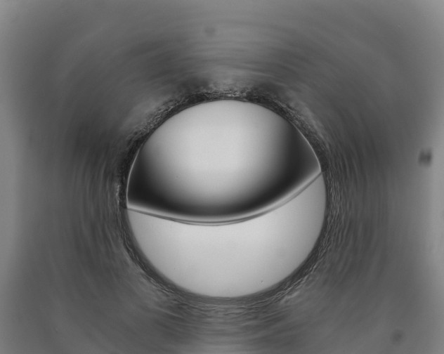X0000090920693200707301054