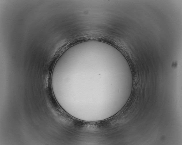 X0000090920694200707301054