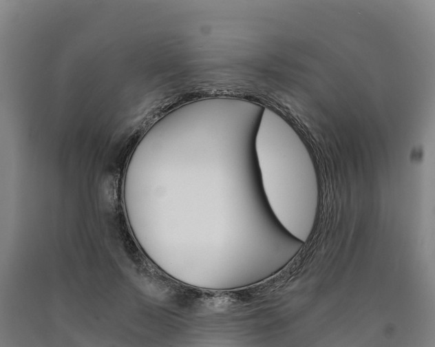 X0000090920695200707301054
