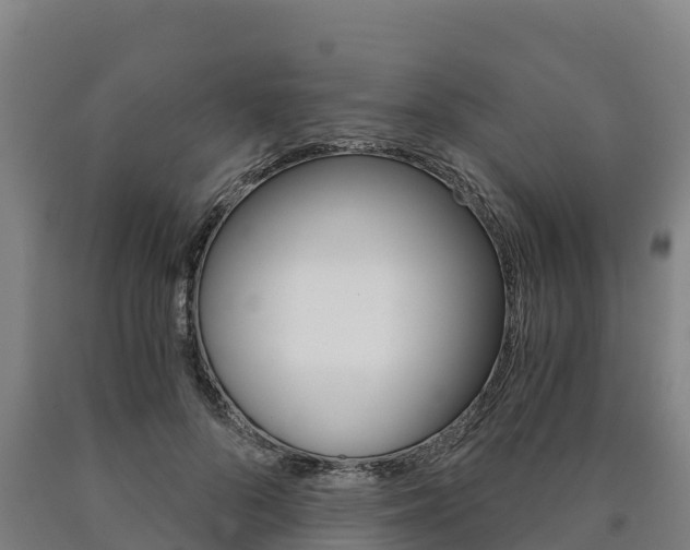 X0000090920696200707301054