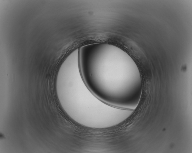 X0000090920697200707301054