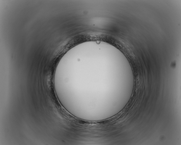 X0000090920698200707301054