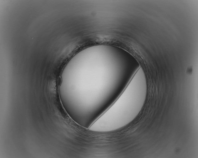 X0000090920700200707301054