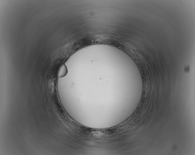 X0000090920703200707301054