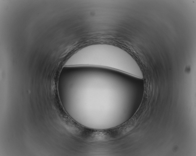 X0000090920704200707301054