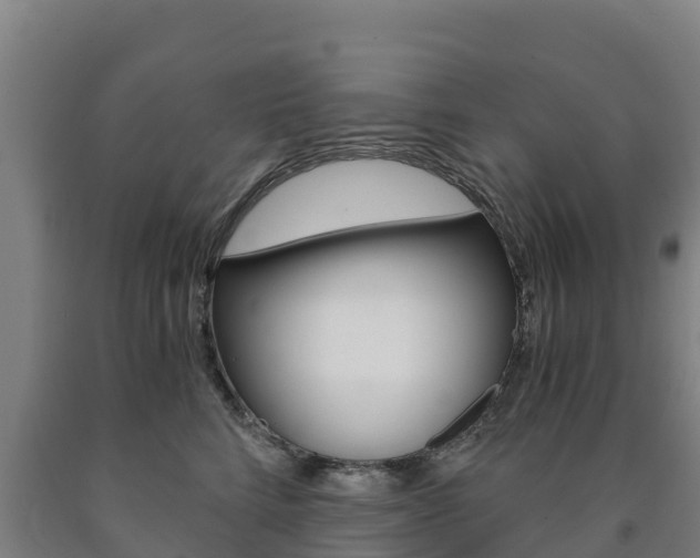 X0000090920712200707301054