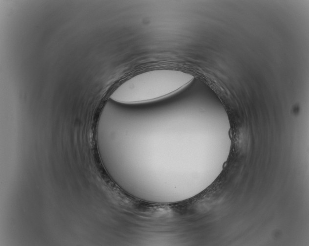 X0000090920715200707301054