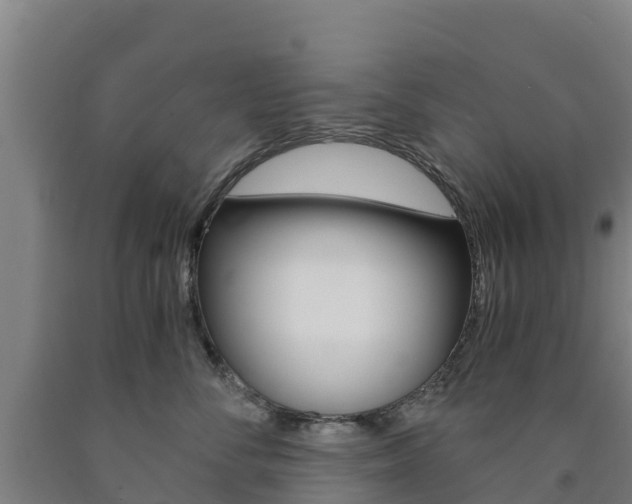 X0000090920716200707301054