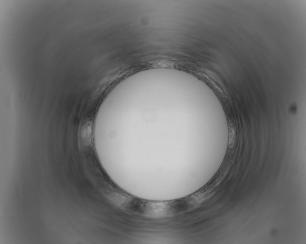 X0000090920717200707301054