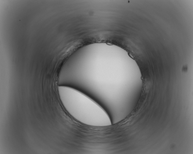 X0000090920719200707301054