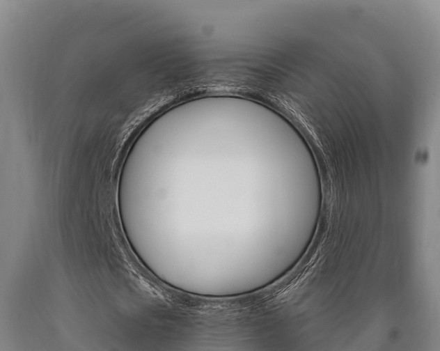 X0000090920721200707301053