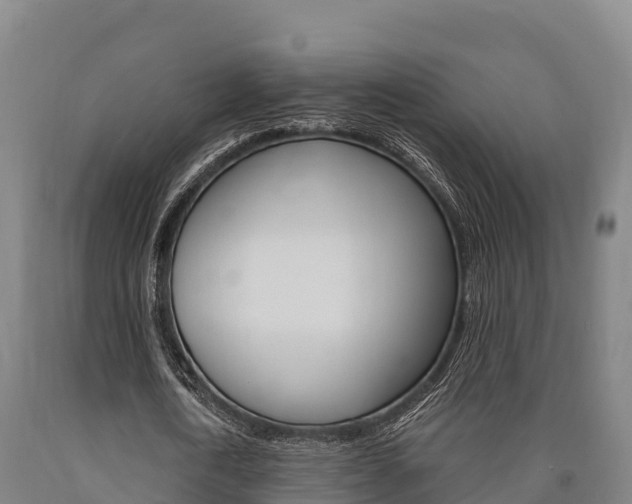 X0000090920722200707301053