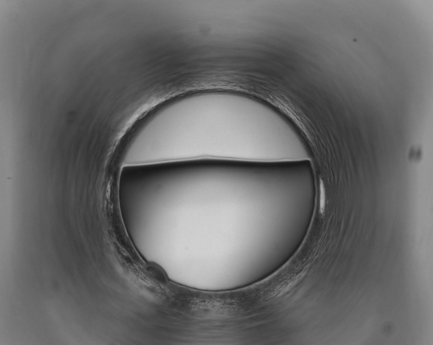 X0000090920723200707301053