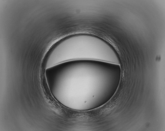 X0000090920724200707301053