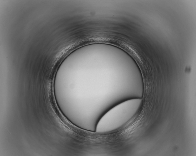 X0000090920725200707301053