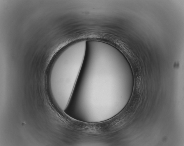 X0000090920727200707301053