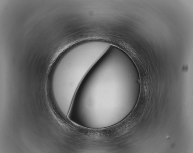 X0000090920728200707301053