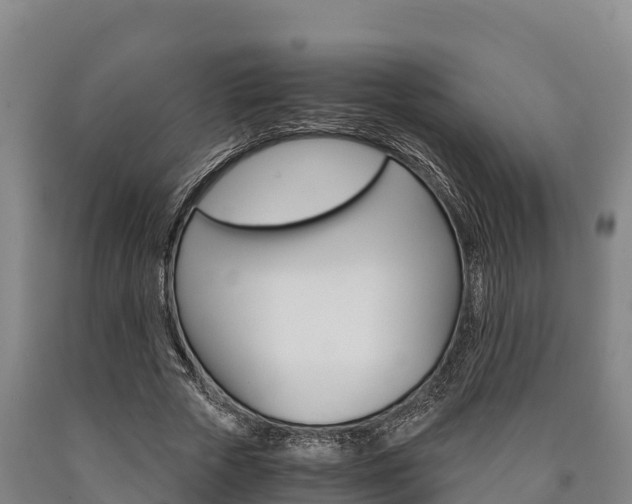 X0000090920729200707301053