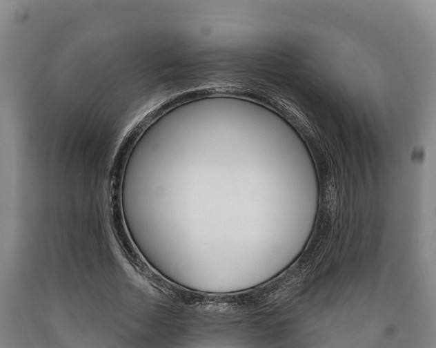 X0000090920730200707301053