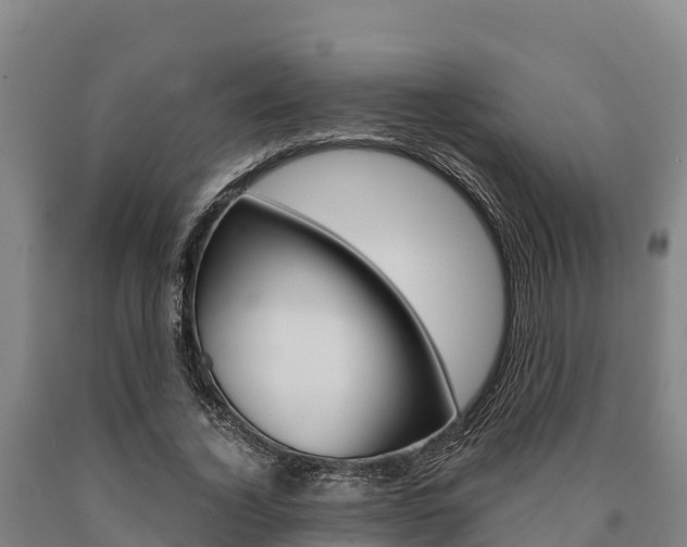 X0000090920732200707301053