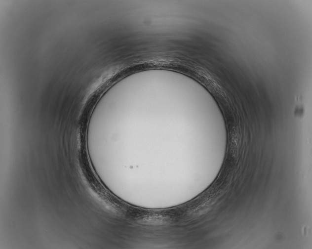X0000090920734200707301053