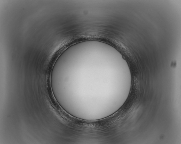 X0000090920735200707301053