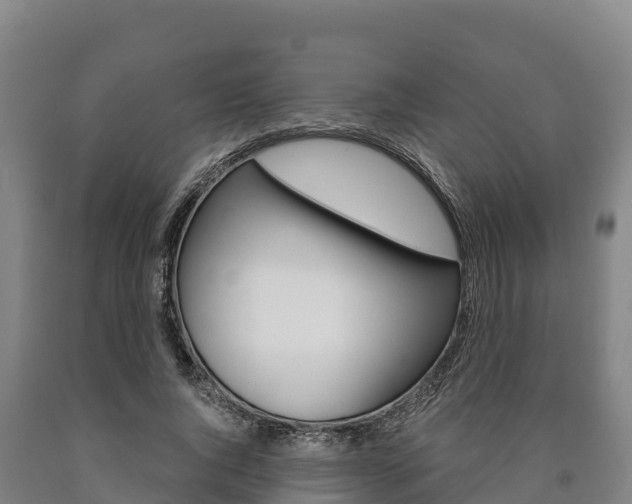 X0000090920736200707301053