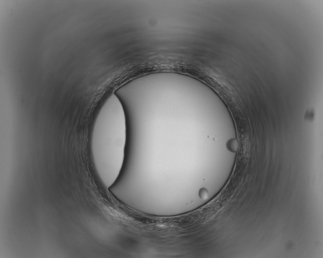 X0000090920737200707301053