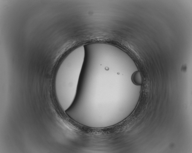 X0000090920738200707301053