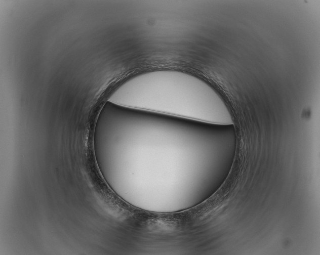 X0000090920739200707301053
