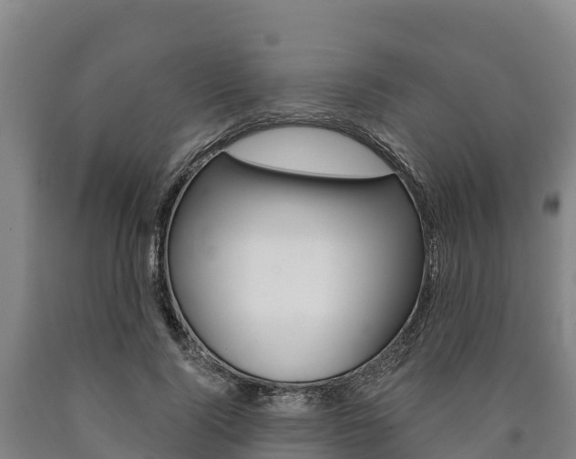 X0000090920740200707301053