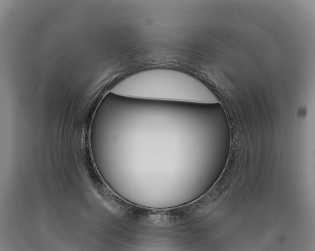 X0000090920744200707301053