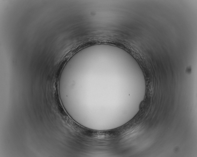 X0000090920746200707301053