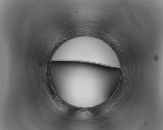 X0000090920747200707301053