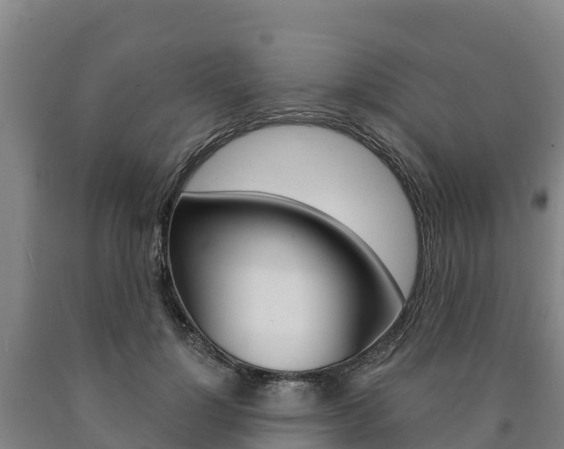 X0000090920748200707301053